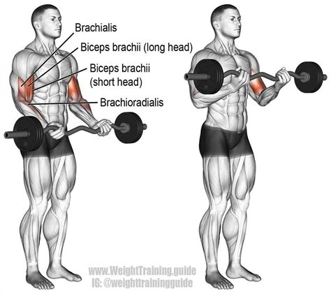 La imagen puede contener: 2 personas | Musculation, Exercices de ...