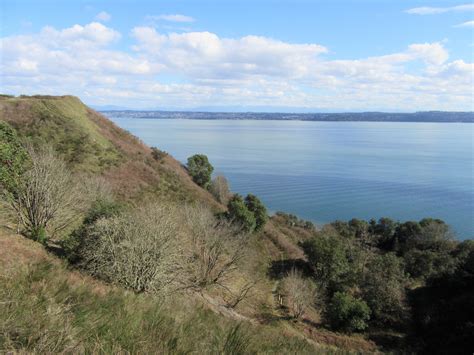 Dockton Forest and Maury Island Natural Area — Explore Vashon Island’s grand park – HIke of the Week