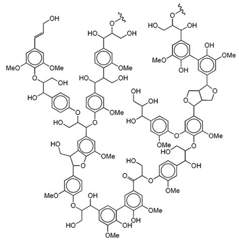 Lignin - American Chemical Society