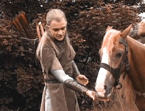 Horses in the Lord of the Rings | Legolas, Lord of the rings, The hobbit