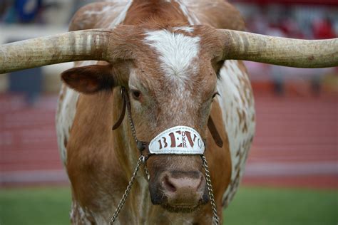 Texas Longhorns Football Wallpapers HD