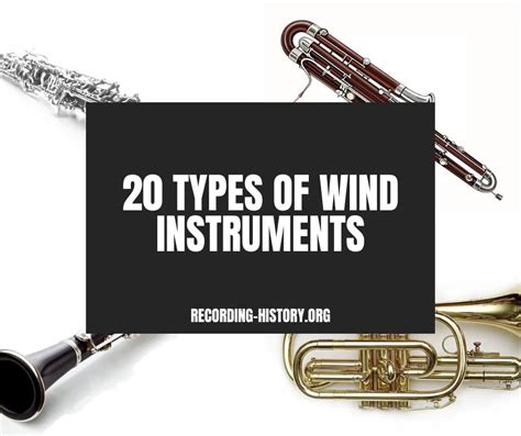 20 Types of Wind Instruments You Didn't Know Existed