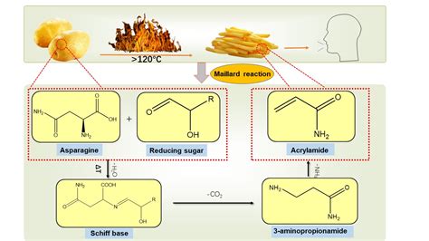 Contaminant acrylamide in food: toxicity, detection methods, mitigation ...