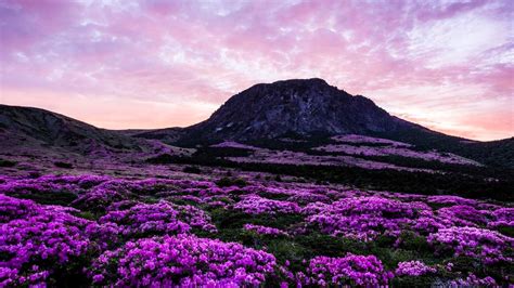 Five Stunning National Parks To Visit In South Korea