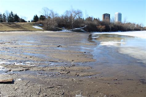 Westboro Beach closed for redevelopment project - CityNews Ottawa