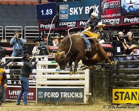 Professional bull riding returning to Allentown's PPL Center - The Morning Call