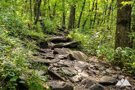 Springer Mountain: hiking the Appalachian Trail