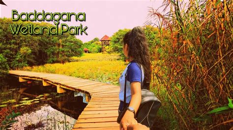 Beddagana Wetland Park - YouTube