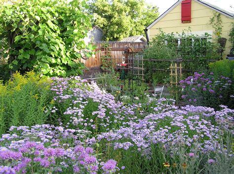 Montana Wildlife Gardener: Flathead Chapter of the Montana Native Plant Society Landscaping with ...