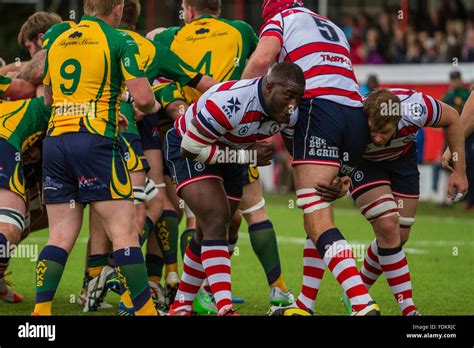 Action from Rosslyn Park FC against Henley Hawks RFC in the English ...