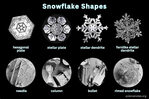 Snowflake Shapes