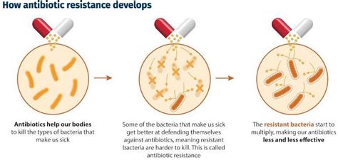 Antibiotic Resistance Can We Ever Win Key