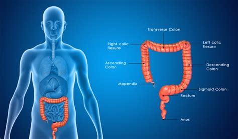 Colorectal Surgery