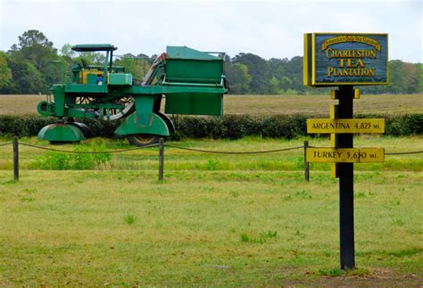 Wadmalaw Island, South Carolina - Charleston Tea Plantation and ...