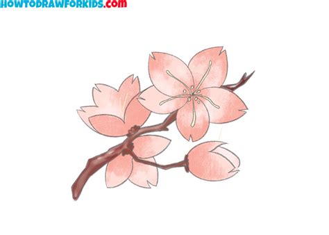 How to Draw a Cherry Blossom - Easy Drawing Tutorial For Kids