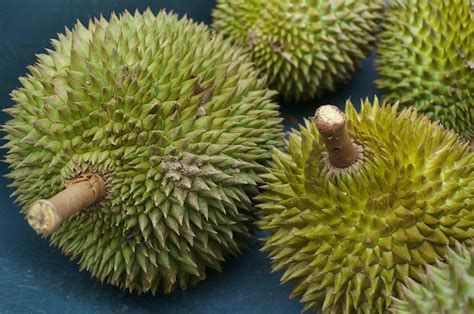 Durian 101: everything you need to know about Southeast Asia's ‘King of ...