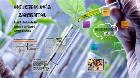 Biotecnologia ambiental by diana sarmiento on Prezi