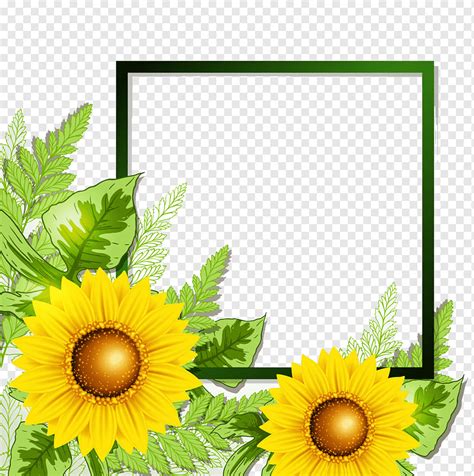 Sunflower Border, frame, flower Arranging, leaf png | PNGWing