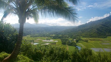 Hanalei Valley Lookout - Tours and Activities | Expedia