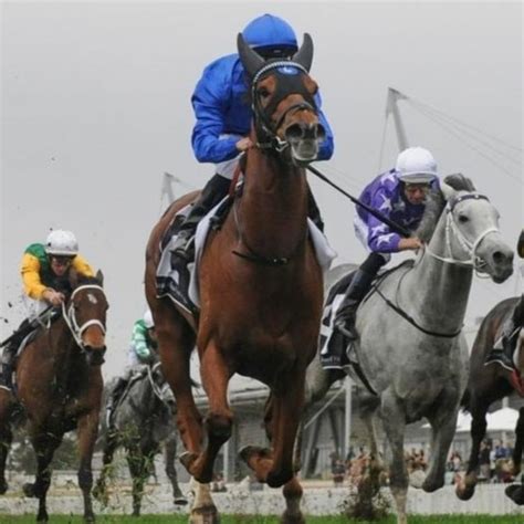 Stream Living Legends Race Day Punting Preview by The Racing Show | Listen online for free on ...