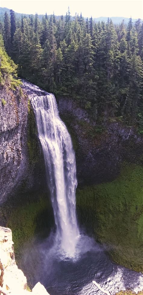 Twitter / WestCoastPics: Salt Creek Falls, Oregon ... | Beautiful places, Waterfall, Oregon