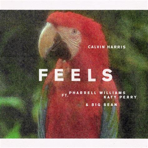 【歌詞和訳】Calvin Harris - Feels feat. Pharrell Williams, Katy Perry, Big Sean