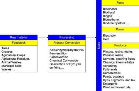 Biorefinery products from renewable feedstocks. | Download Scientific ...