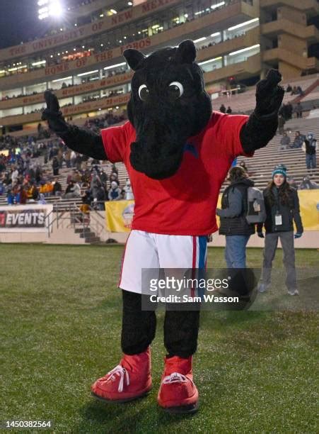 23 Smu Mascot Peruna Stock Photos, High-Res Pictures, and Images ...