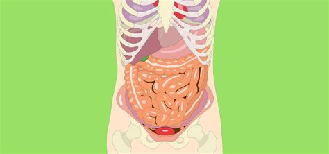 Problems with Abdominal Scar Tissue That Could Have Been Caused by A Hysterectomy - God Girls' Gate