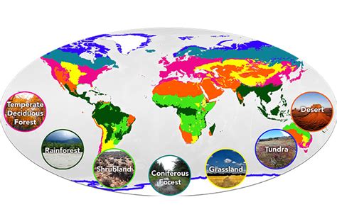 Biomes Map For Kids