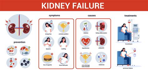 Kidney Cancer: Symptoms, Diagnosis, and Treatment