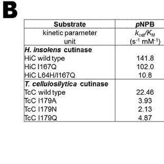 Biochemical analysis of HiC and TcC wild type and variants. (A)... | Download Scientific Diagram