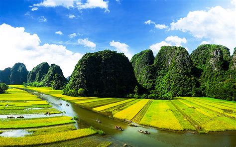 Ninh Binh Tour: Hoa Lu -Tam Coc, the ancient Capital and Heaven cave