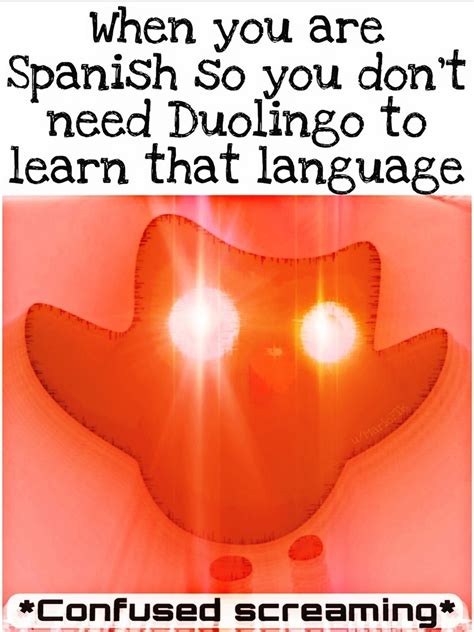 Duolingo is scared - Meme by MarioFTR :) Memedroid