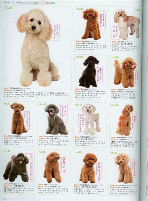 Japanese Grooming | Dog grooming styles, Dog grooming, Japanese dog ...