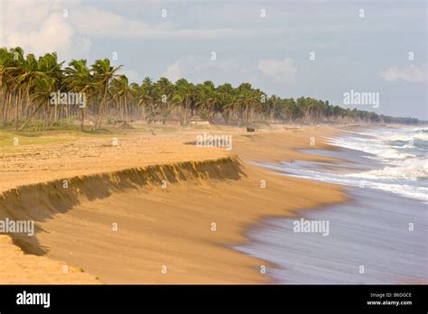 Beach in Ouidah, Benin, West Africa Stock Photo - Alamy