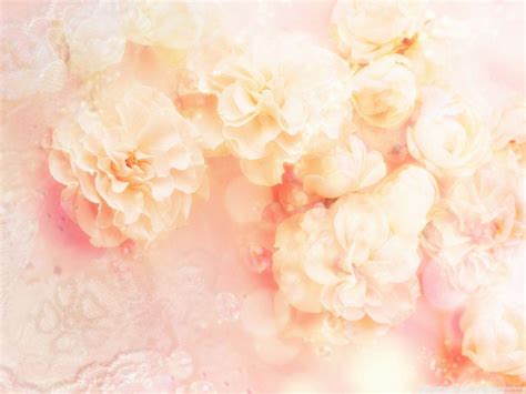 Peach Color Wallpapers - Top Free Peach Color Backgrounds - WallpaperAccess