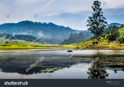 2.057 Kodaikanal Forest Images, Stock Photos & Vectors | Shutterstock