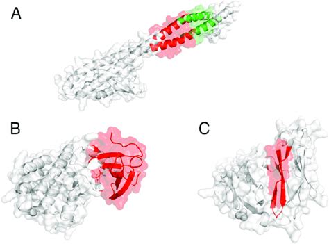 Examples of a tumor-suppressor gene, an oncogene, and a putative driver ...