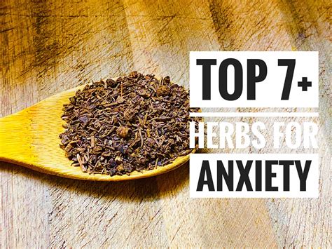 Top 7+ Herbs for Anxiety | Relax Into Success