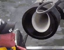 Cannon Fish GIF - Cannon Fish Fish Slap - Discover & Share GIFs