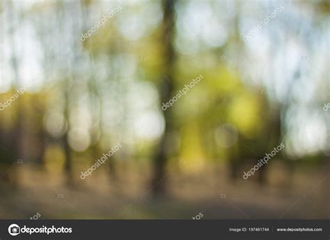 Blurry Nature Wallpaper Forest Bokeh Background Green Defocused Backdop — Stock Photo © inspired ...