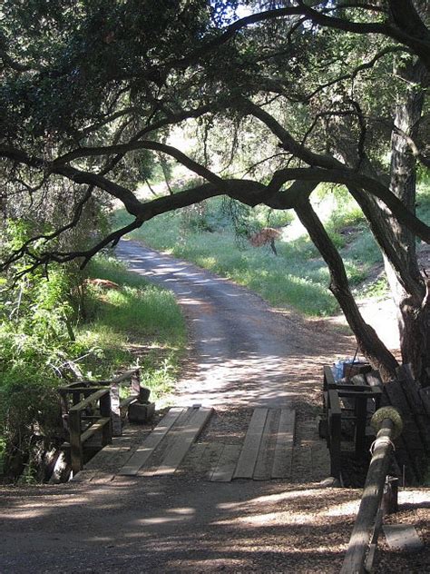 Topanga Canyon CA | Topanga canyon, Topanga, Topanga california