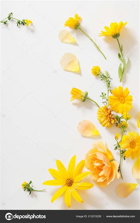 Hình nền đẹp yellow background white flowers cho máy tính và điện thoại ...