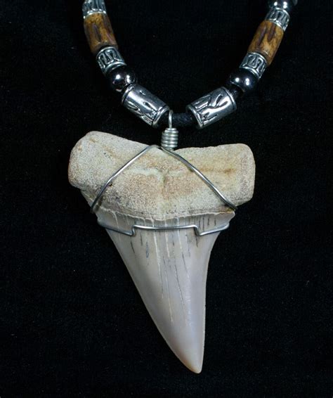 Fossil Mako Tooth Necklace - Bakersfield, CA (#4872) For Sale ...