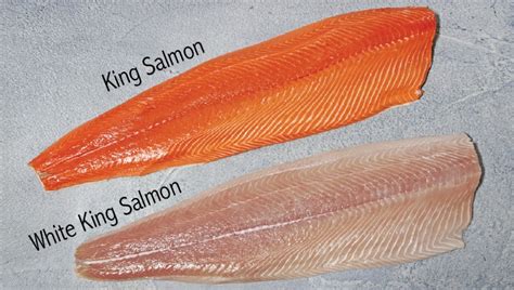 Salmon (Wild), White King | Santa Monica Seafood