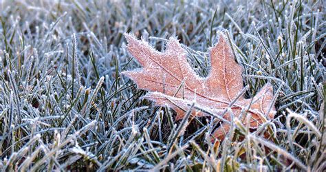 A Note of Appreciation for Fall's First Frost | Our State