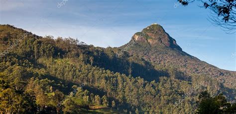 Mountain Adam's Peak at sunrise — Stock Photo © HonzaHruby #73901495