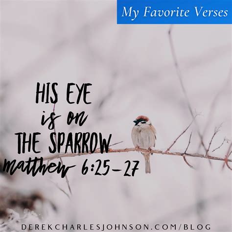 His Eye Is On The Sparrow — Matthew 6:25-27 (My Favorite Verses)