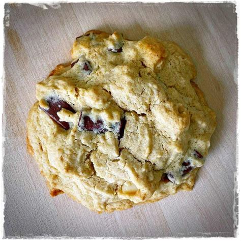 Vegan Sausalito Cookies Pepperidge Farm Style Gluten-Free | Recipe ...